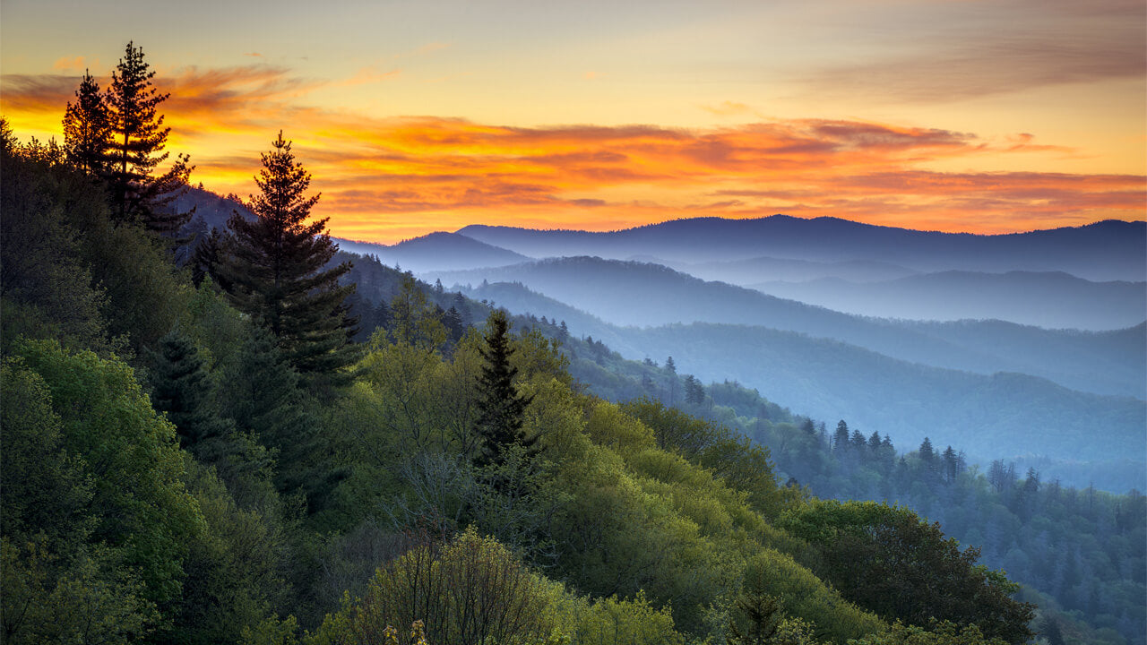 Great Smoky Mountains Alumni Chapter Dues Payment