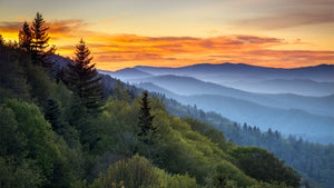 Great Smoky Mountains Alumni Chapter Dues Payment